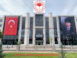 Foto Galeri